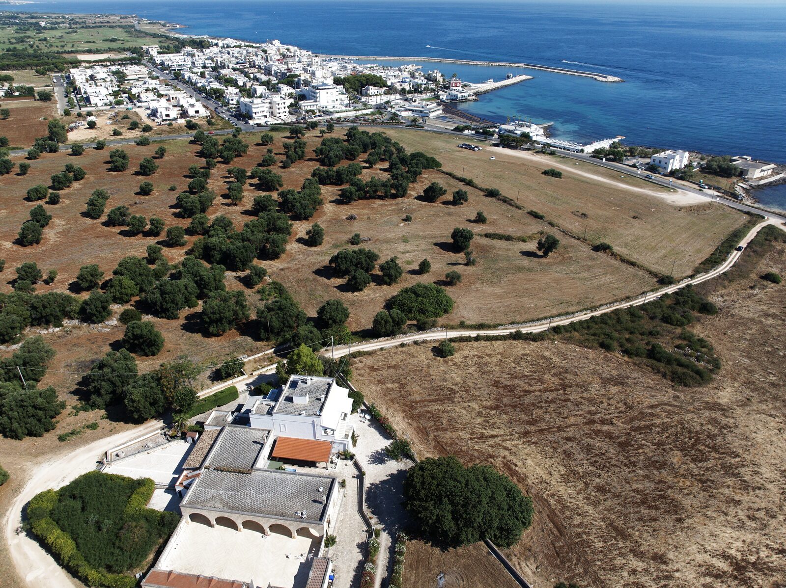 Aerial view of the masseria, its olive grove, and Savelletri on the Adriatic beyond